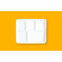 5 compartment plates school tray