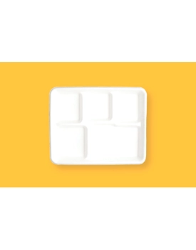 5  Compartment Plates School Tray