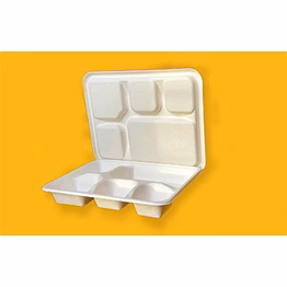 5 compartment plates meal tray with lid