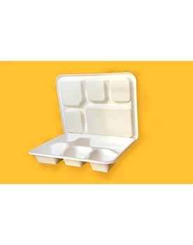 5 Compartment Plates Meal Tray with LId