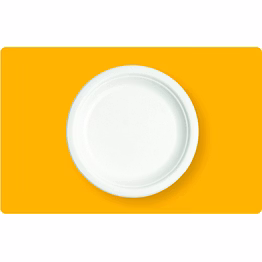 9" round plate