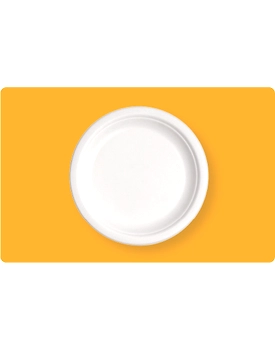 9" Round Plate
