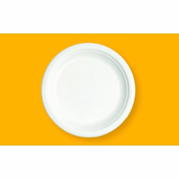 11" round plate