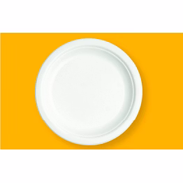 12" round plate