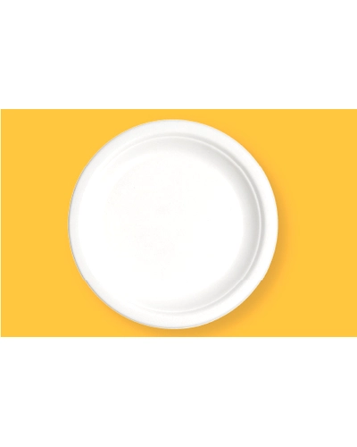 12&quot; Round Plate-BAGASSE-RP-12