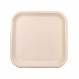 9 x 9" square plate