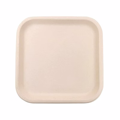 9 x 9" square plate