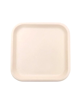 9 X 9" Square Plate