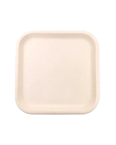 9 X 9&quot; Square Plate-BAGASSE-SP-09