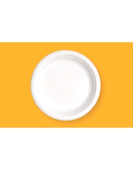 10" Round Plate