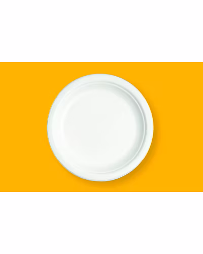 10&quot; Round Plate-BAGASSE-RP-10