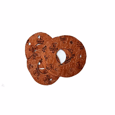 GASKETS PACKING (Ring Gasket)-0079