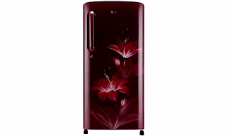 LG 190 L 5 Star Inverter Direct-Cool Single Door Refrigerator (GL-B201ARGZ, Ruby Glow)