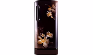 LG 215 L 4 Star Inverter Direct Cool Single Door Refrigerator (GL-D221AHPY, Hazel Plumeria)