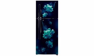 LG 260 L 3 Star Inverter Frost-Free Double Door Refrigerator (GL-T292RBC3, Blue Charm)