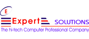 Expert Solutions-logo