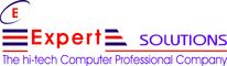 Expert Solutions-logo