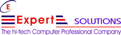 Expert Solutions-logo