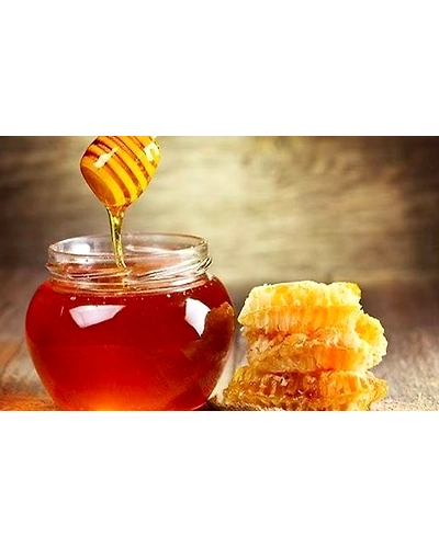 Forest Honey-5766522