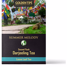 golden tips summer melody second flush darjeeling black tea (100gm- 50 cups) (100gm)