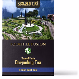 golden tips foothill fusion loose leaf fine green tea (100gm-50 cups)