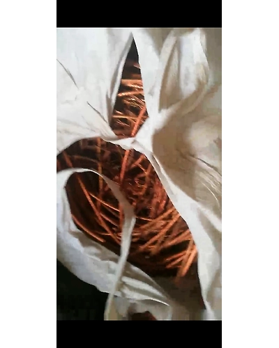 Copper Milberry-5