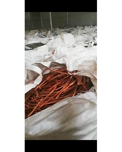 Copper Milberry-4