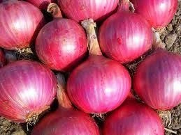 Fresh Red Onion-6