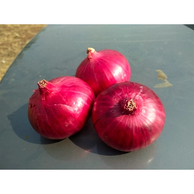 Fresh Red Onion