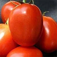 Tomato-5772064