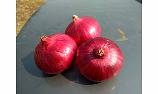 Fresh Red Onion