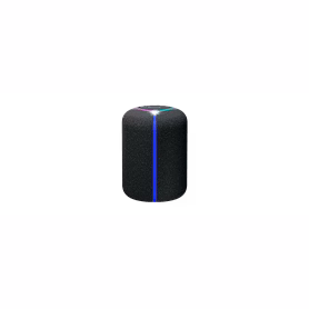 SONY SRS-XB402M NFC Speaker