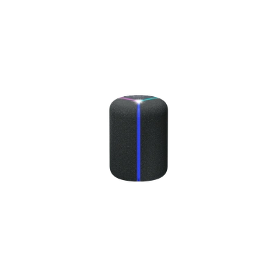 SONY SRS-XB402M NFC Speaker