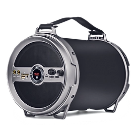 iBall Karaoke Barrel