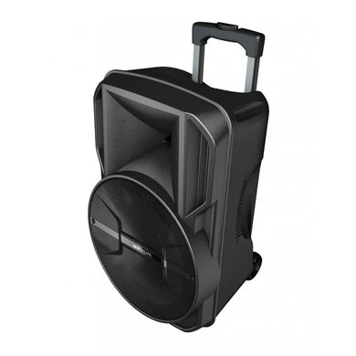 Astrum TM121/Black/Trolley Speaker-2