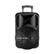 Astrum TM151/Black/Trolley Speaker-6-sm