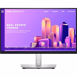 DELL P2222H / 22 inch Full HD / 1920 X 1080 Pixel / IPS / VGA, HDMI, DP / 8 ms