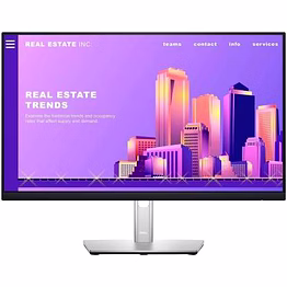 DELL P2422H / 24 inch Full HD / 1920 X 1080 Pixel / LED / VGA, HDMI, DP / 8 ms