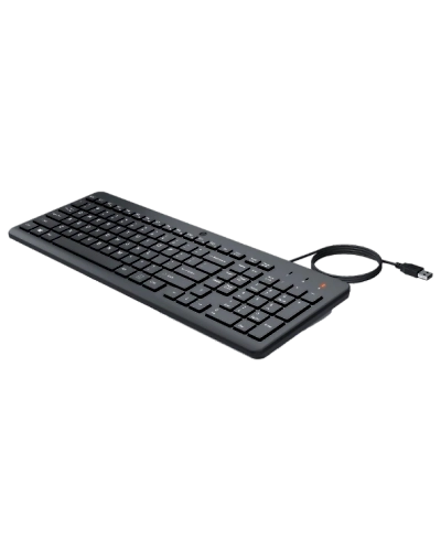 HP 150 Wired Keyboard-664R5AA