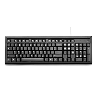 HP K100 Wired Keyboard