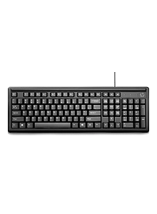 HP K100 Wired Keyboard