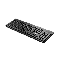 HP K160 Wireless Keyboard
