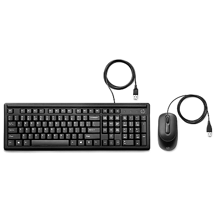 HP KM160 Wired Mouse and Keyboard Combo-99Y13AA