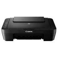 Canon Printer MG2570S