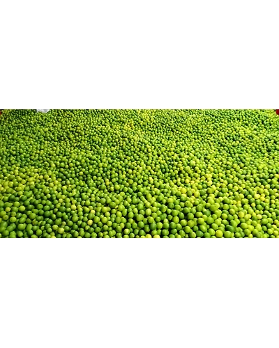 Lemon-5813050