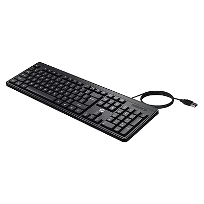 HP K100 Series - Wired USB Desktop Keyboard-1