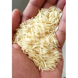 1121 Creamy Sella Basmati Rice