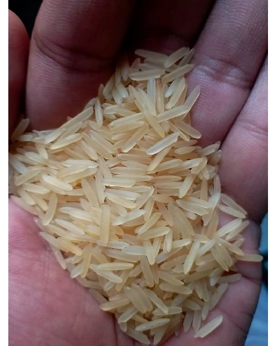 1121 Golden Sella Basmati Rice-3