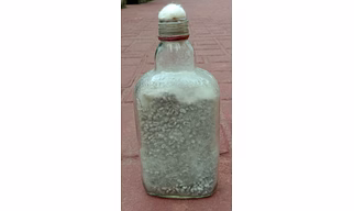 Mushroom Seed