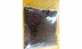 Spice item-Mustard